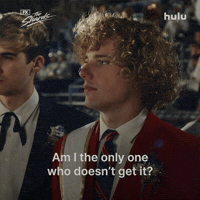 Confused Not Funny GIF by FX Networks