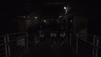 Jacoby Brissett Football GIF by New England Patriots