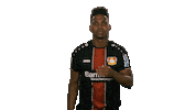 oh no wtf Sticker by Bundesliga