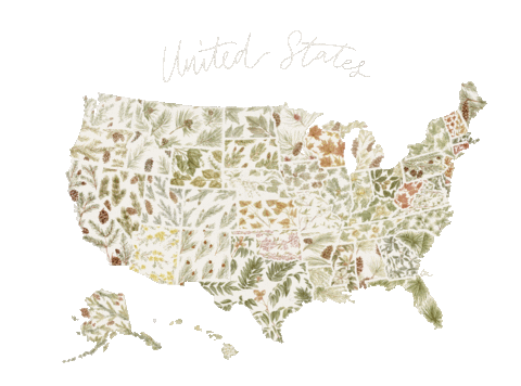 Coffee Time Art Sticker