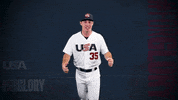 Pro GIF by USA Baseball