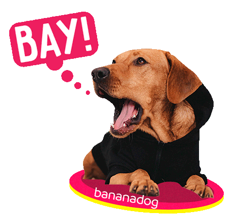 Dog Sticker by BANANADOG