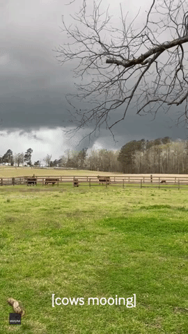 Swirling Funnel Cloud Spotted in Mississippi