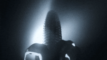 The Crown Netflix GIF by MULTI AWESOME STUDIO