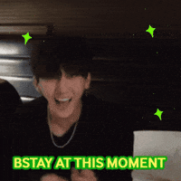 Stray Kids Skz GIF