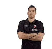 Sport Basketball Sticker by Bamberg Baskets