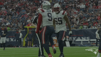 Excited Lets Go GIF by New England Patriots