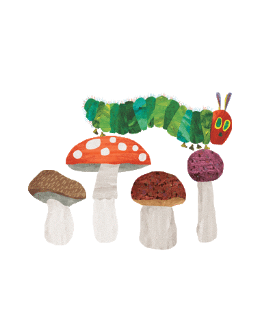 Very Hungry Caterpillar Sticker by PenguinKids