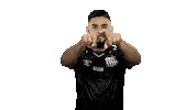 Var Sticker by Santos Futebol Clube