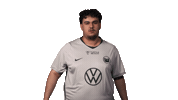 Vfl Wolfsburg Football Sticker by Bundesliga