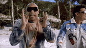 Gdz GIF by Gente De Zona