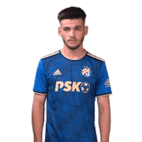 Football Soccer Sticker by GNK Dinamo