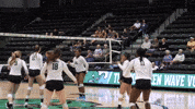 athletics volleyball GIF by GreenWave
