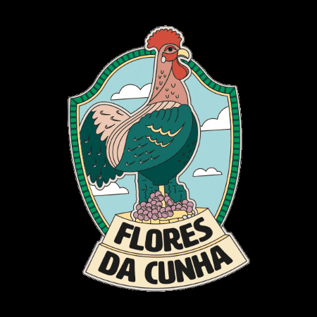 Serra Gaucha GIF by Unimed Nordeste-RS