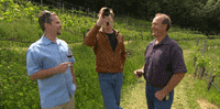 teamcoco wine conan obrien san francisco wine tasting GIF