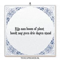 Boom Plant GIF by Tegelspreuken.nl