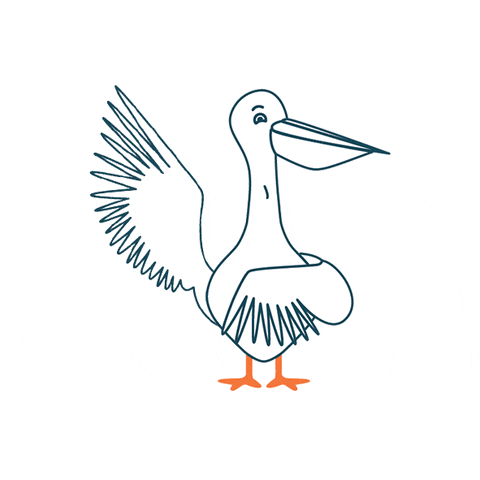 Marius-Peligourmet giphyupload pelican marius peligourmet GIF