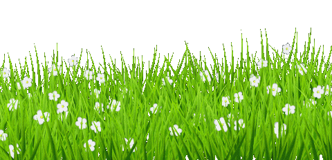 Green Grass Flowers Sticker
