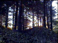 janosotocossio experimental GIF