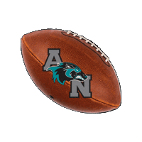 AlisoNiguelFootball fridaynightlights anhs aliso football anfootball Sticker