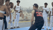 formula 1 dance GIF by Red Bull Racing