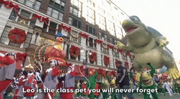 Leo Is The Class Pet You Will Never Forget
