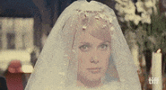 Les Parapluies De Cherbourg Wedding GIF by TIFF