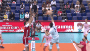Happy Celebration GIF by Volleyball World