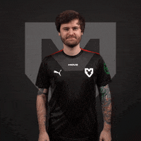 Csgo GIF by mousesports