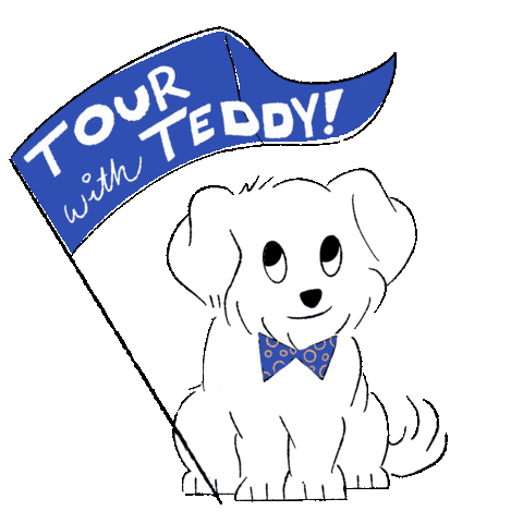tourwithteddy giphyupload dog travel flag Sticker