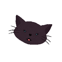 Cat Kitty Sticker