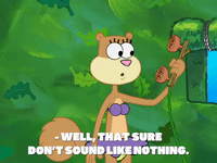 season 8 GIF by SpongeBob SquarePants