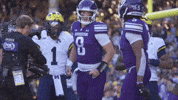 Big Ten Joy GIF by Northwestern Athletics
