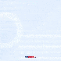 Man City Fanzone GIF by skysports