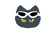 고양이 Zico Sticker