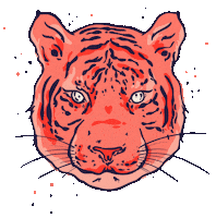 carolindiamanti nature animal sweet tiger Sticker