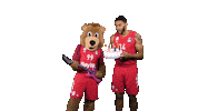 Happy Birthday Singing Sticker by FC Bayern Basketball