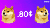 Crypto Doge GIF by eToro