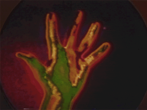 vhs hand GIF by rotomangler