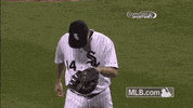 usa wave GIF by MLB