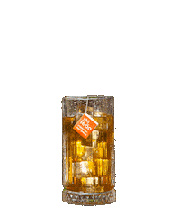 Sol Calor Sticker by Leão Infusões