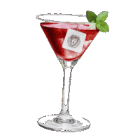 Matteleao Sticker by Leão Infusões