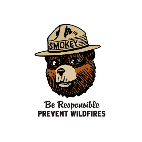 YCSL bear smokey 곰 곰돌이 Sticker