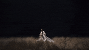 Minefields GIF by Faouzia