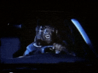 jonnys_world werewolf driver GIF