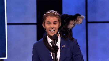 comedy central GIF by mtv