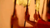 thailand GIF