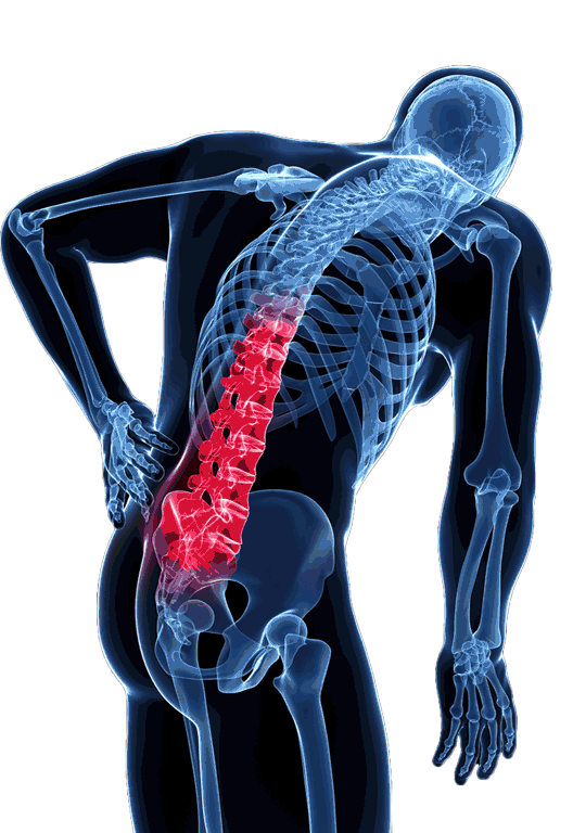 spine coluna Sticker by quirocamp