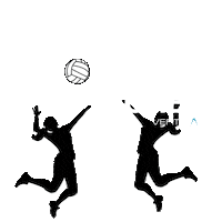 Volleyball Sticker by VertiMax