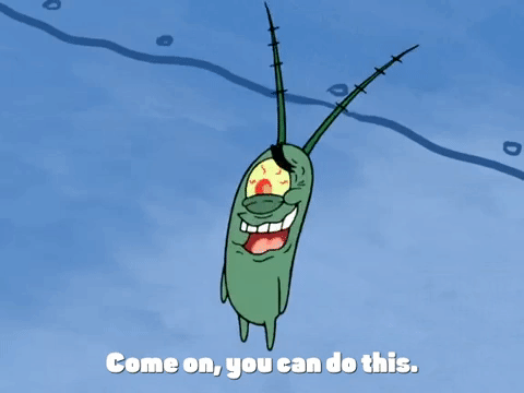 season 4 enemy in-law GIF by SpongeBob SquarePants